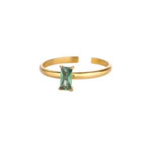 ANILLO VIDA