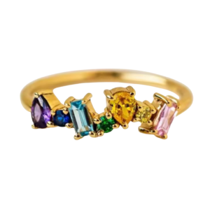 ANILLO FAMILIA