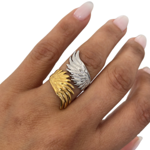 ANILLO VUELA