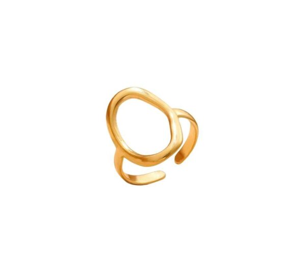 ANILLO RELACION