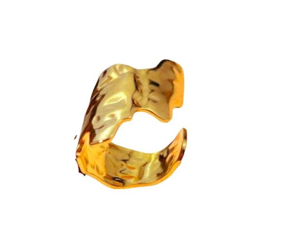 ANILLO ENCUENTRAME
