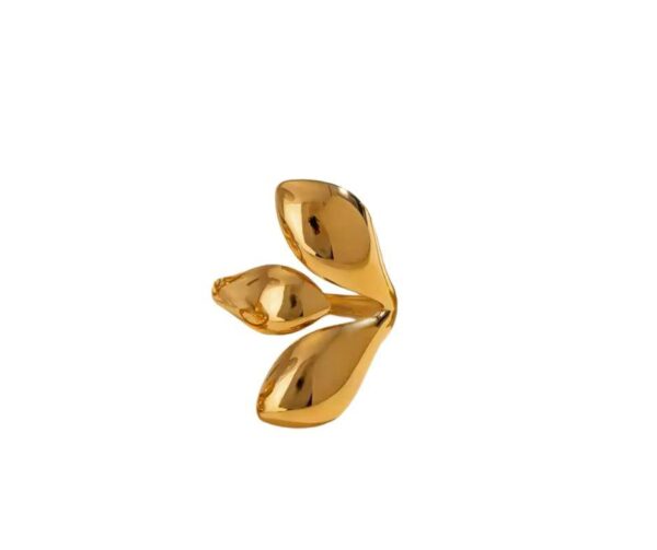 ANILLO TE ABRIGO