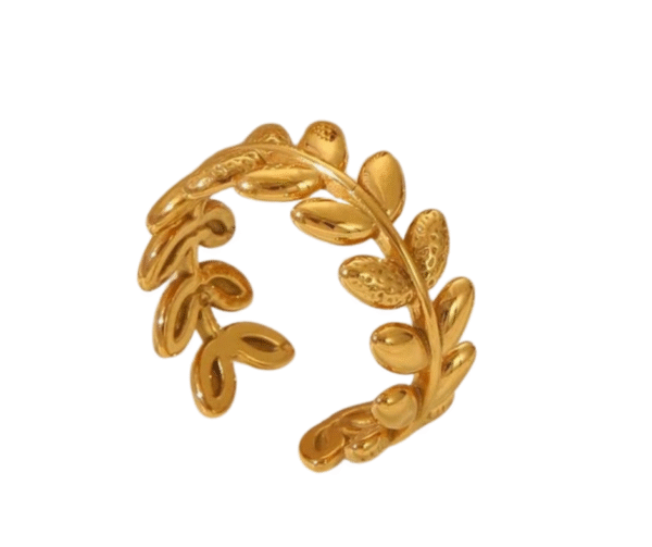 ANILLO ROME