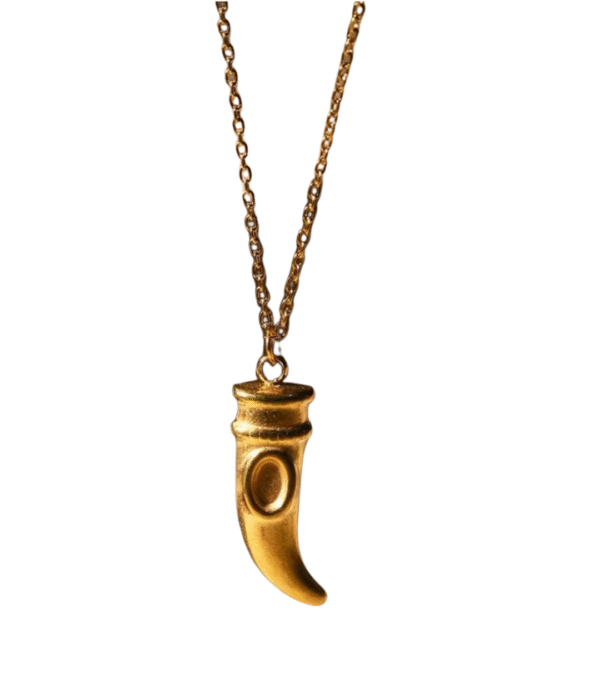 COLLAR FUERZA