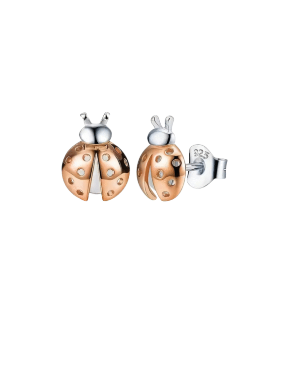 ARETES TERNURA