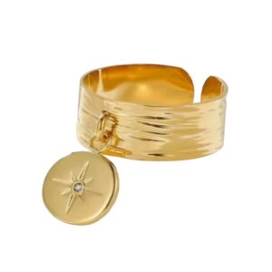 ANILLO ESCALA