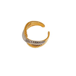 ANILLO INFINITO
