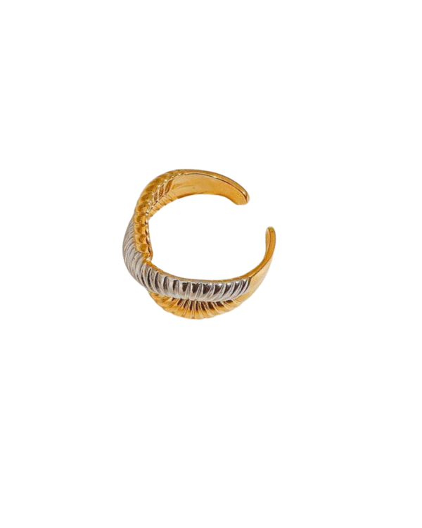 ANILLO INFINITO